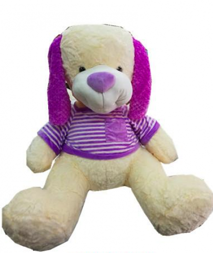 FE0203-80   PERRO CON REMERA