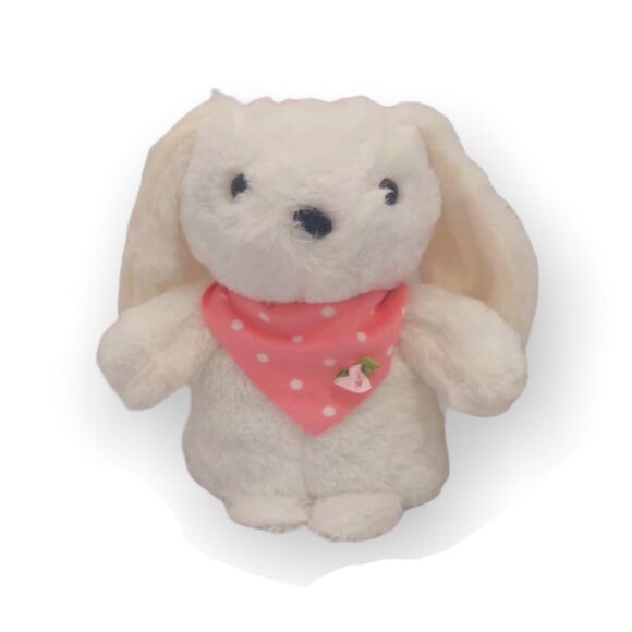 FE20130-25  CONEJO C/ PA?UELO