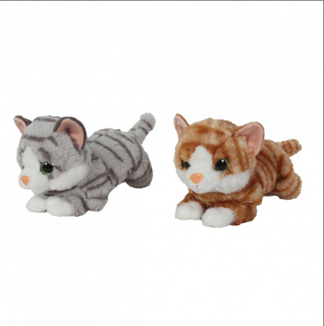 WO80100  GATO CON SONIDO