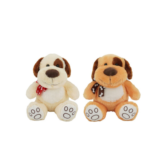 WO613738 - PERRO