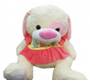 FE0069-80 -  PERRO CON REMERA